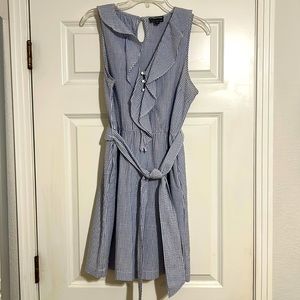 Blue and White Gingham Dress